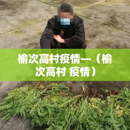 榆次高村疫情—(榆次高村 疫情) 榆次高村疫情—(榆次高村 疫情)