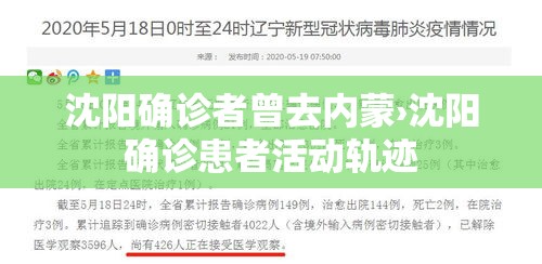 沈阳确诊者曾去内蒙›沈阳确诊患者活动轨迹