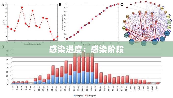 感染进度:感染阶段 感染进度:感染阶段