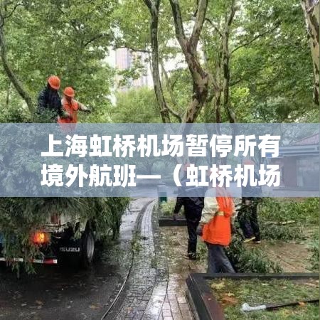 上海虹桥机场暂停所有境外航班—(虹桥机场关闭所有境外航班) 上海虹桥机场暂停所有境外航班—(虹桥机场关闭所有境外航班)