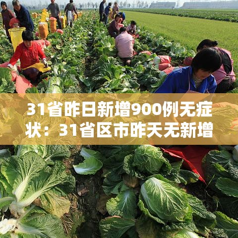 31省昨日新增900例无症状：31省区市昨天无新增本土确诊