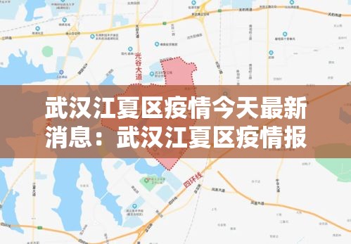 武汉江夏区疫情今天最新消息：武汉江夏区疫情报告