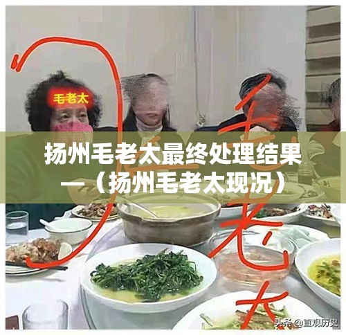扬州毛老太最终处理结果—(扬州毛老太现况) 扬州毛老太最终处理结果—(扬州毛老太现况)