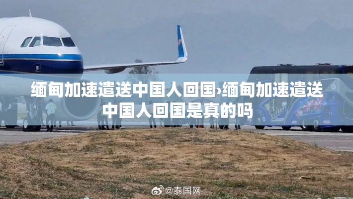 缅甸加速遣送中国人回国›缅甸加速遣送中国人回国是真的吗 缅甸加速遣送中国人回国›缅甸加速遣送中国人回国是真的吗