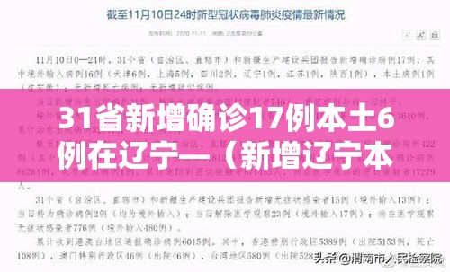 31省新增确诊17例本土6例在辽宁—（新增辽宁本土病例）
