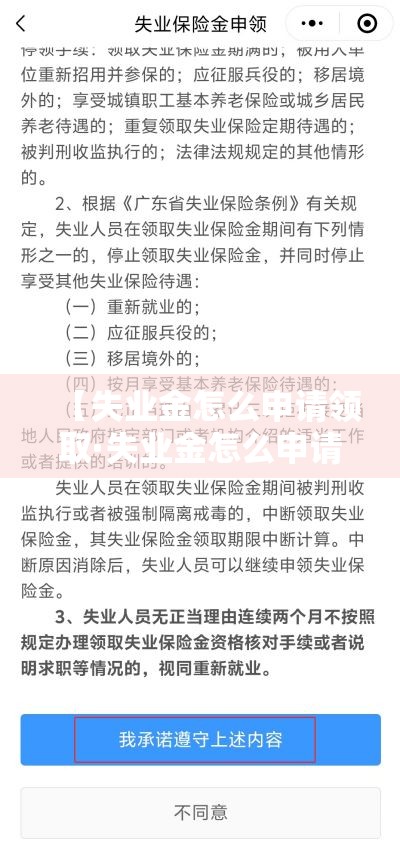 【失业金怎么申请领取·失业金怎么申请办理流程】 【失业金怎么申请领取·失业金怎么申请办理流程】
