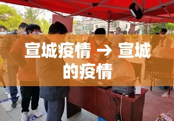 宣城疫情 → 宣城的疫情 宣城疫情 → 宣城的疫情