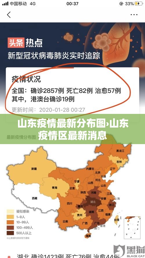 山东疫情最新分布图›山东疫情区最新消息