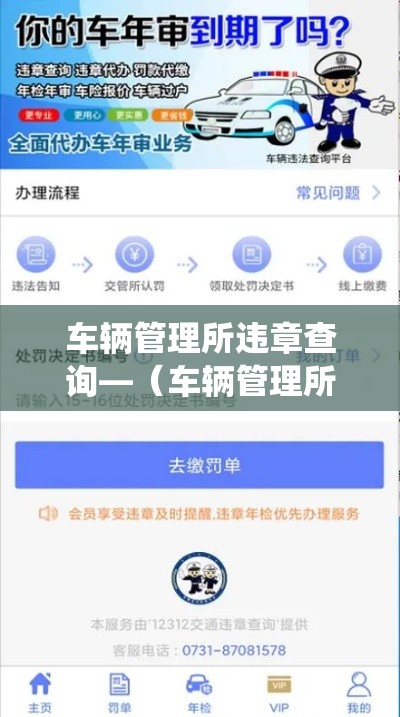 车辆管理所违章查询—(车辆管理所违章查询系统) 车辆管理所违章查询—(车辆管理所违章查询系统)