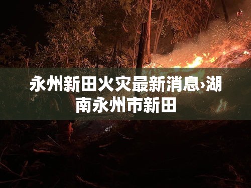 永州新田火灾最新消息›湖南永州市新田 永州新田火灾最新消息›湖南永州市新田