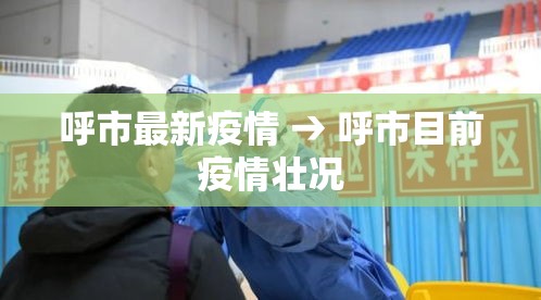 呼市最新疫情 → 呼市目前疫情壮况