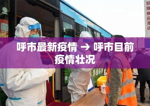 呼市最新疫情 → 呼市目前疫情壮况