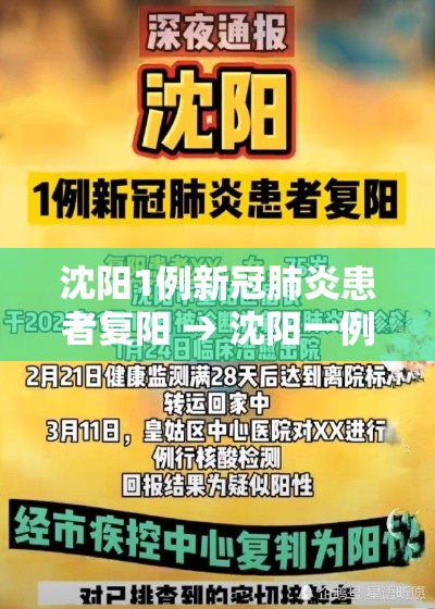 沈阳1例新冠肺炎患者复阳 → 沈阳一例新型冠状病毒复阳 沈阳1例新冠肺炎患者复阳 → 沈阳一例新型冠状病毒复阳