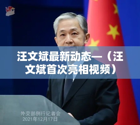 汪文斌最新动态—(汪文斌首次亮相视频) 汪文斌最新动态—(汪文斌首次亮相视频)