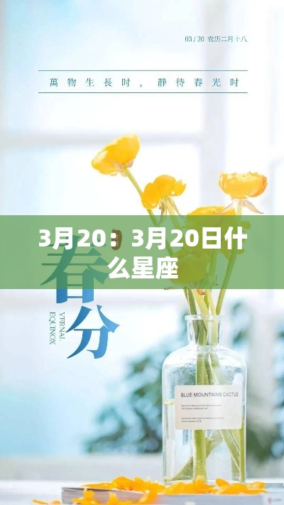 3月20:3月20日什么星座
